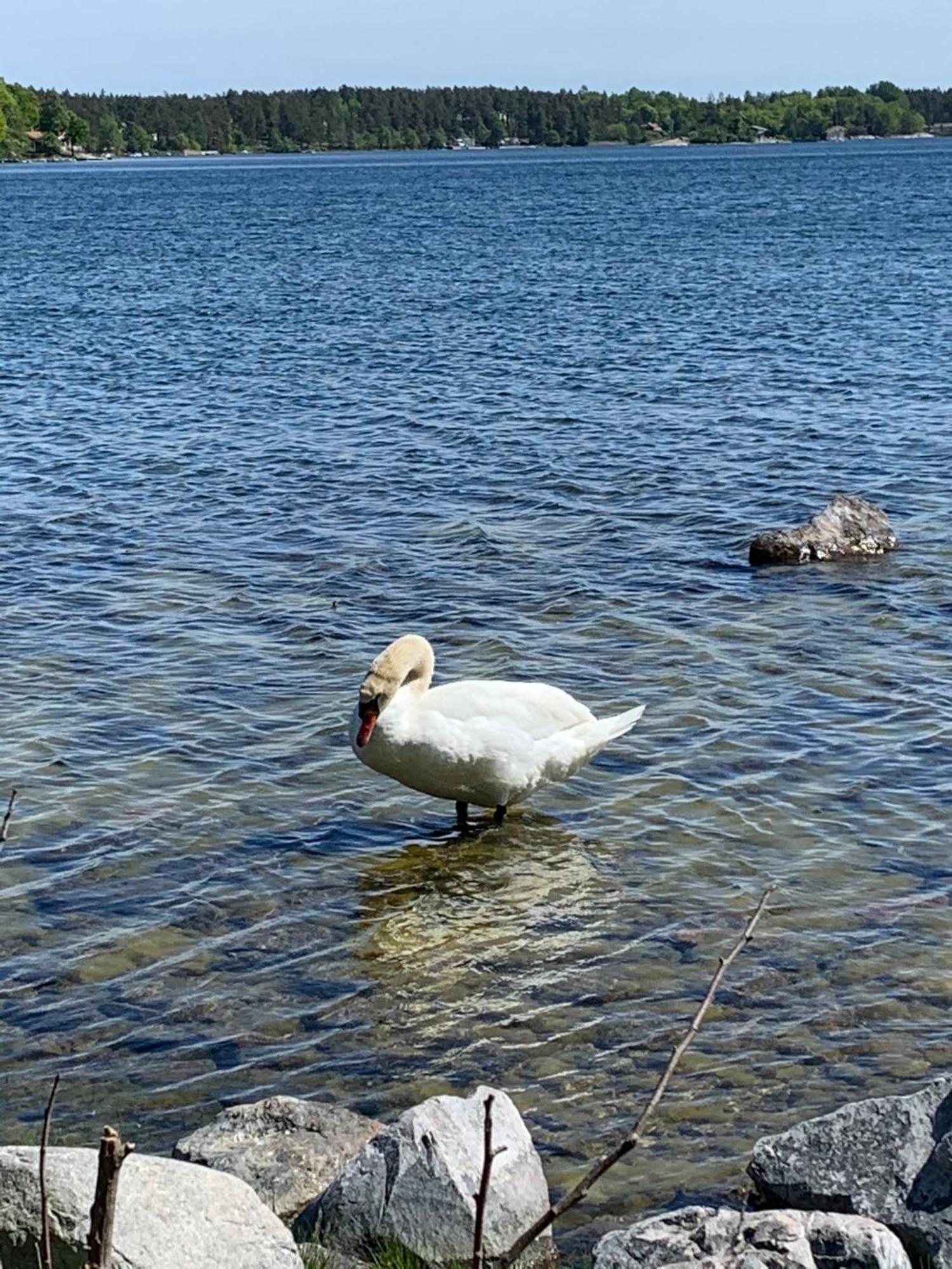 Вилла Karlshamn 1 Sankt Anna Soederkoeping Экстерьер фото