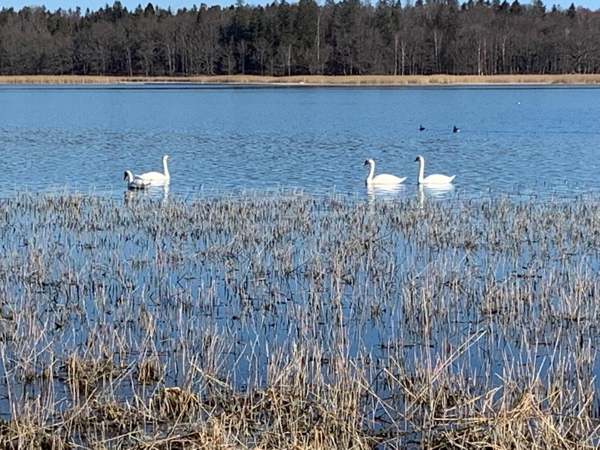 Вилла Karlshamn 1 Sankt Anna Soederkoeping Экстерьер фото