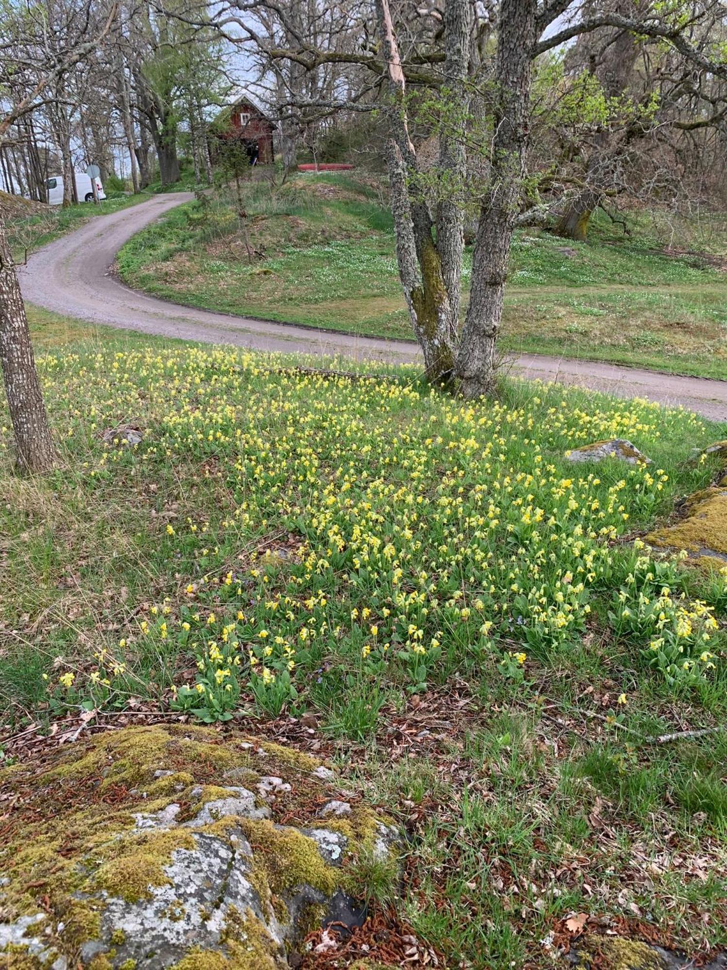 Вилла Karlshamn 1 Sankt Anna Soederkoeping Экстерьер фото