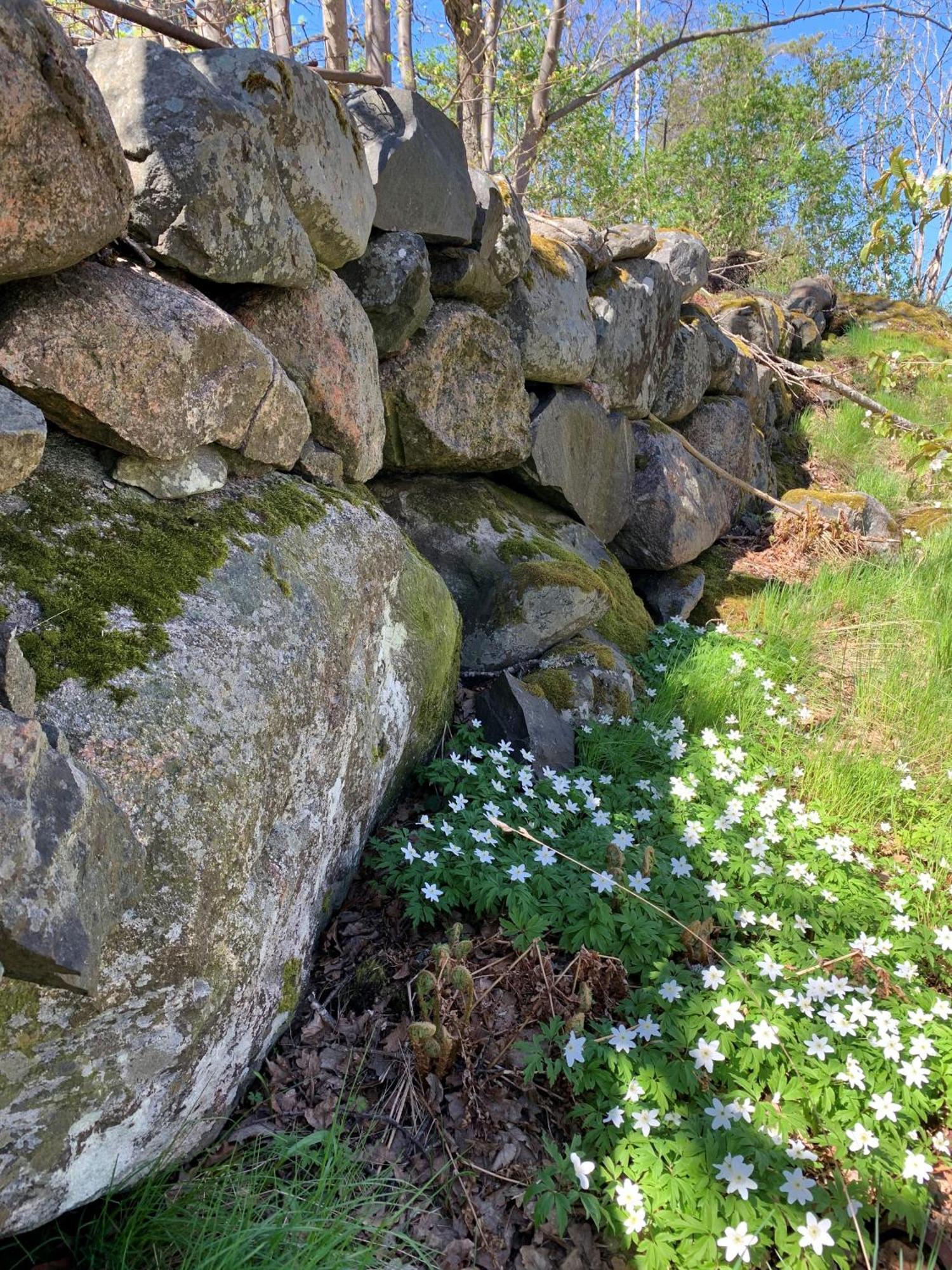 Вилла Karlshamn 1 Sankt Anna Soederkoeping Экстерьер фото